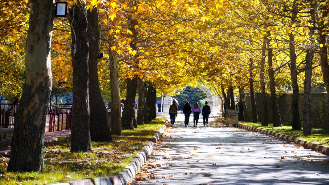 Sonbahar en çok Konya’ya yakışıyor! Konya’da Eylül ayında gezilecek rotalar 3